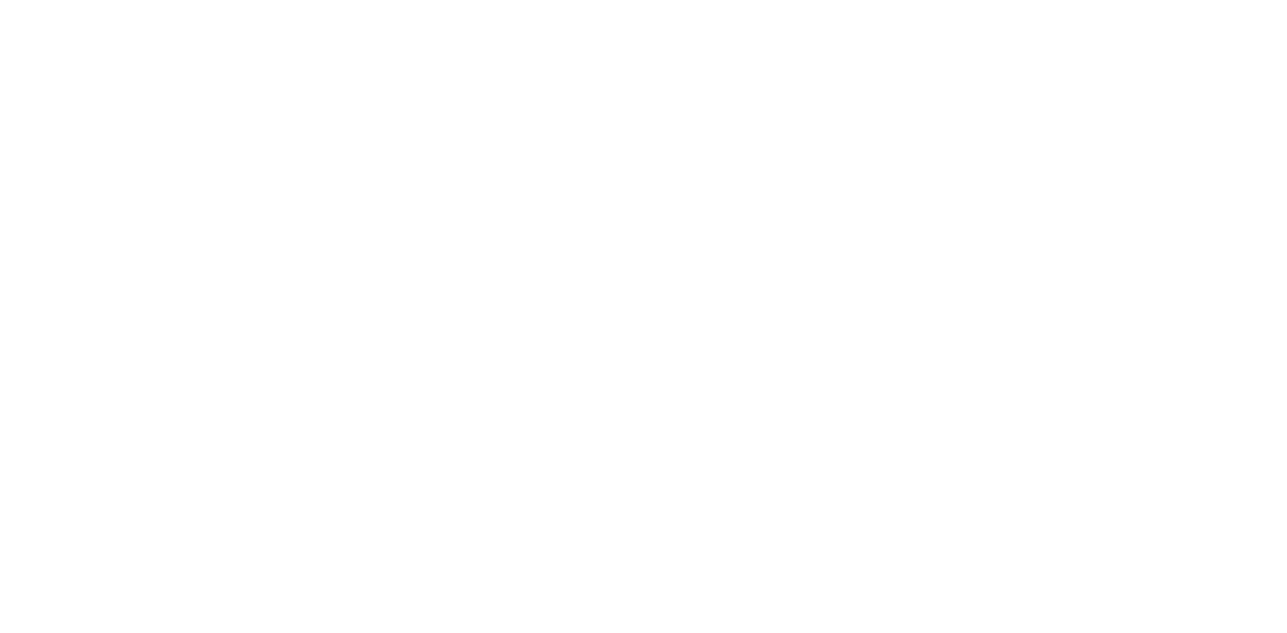 logo-transparent-white